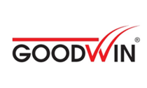 Окна Goodwin